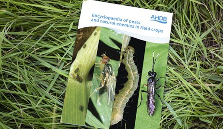 Encyclopaedia of pests and natural enemies